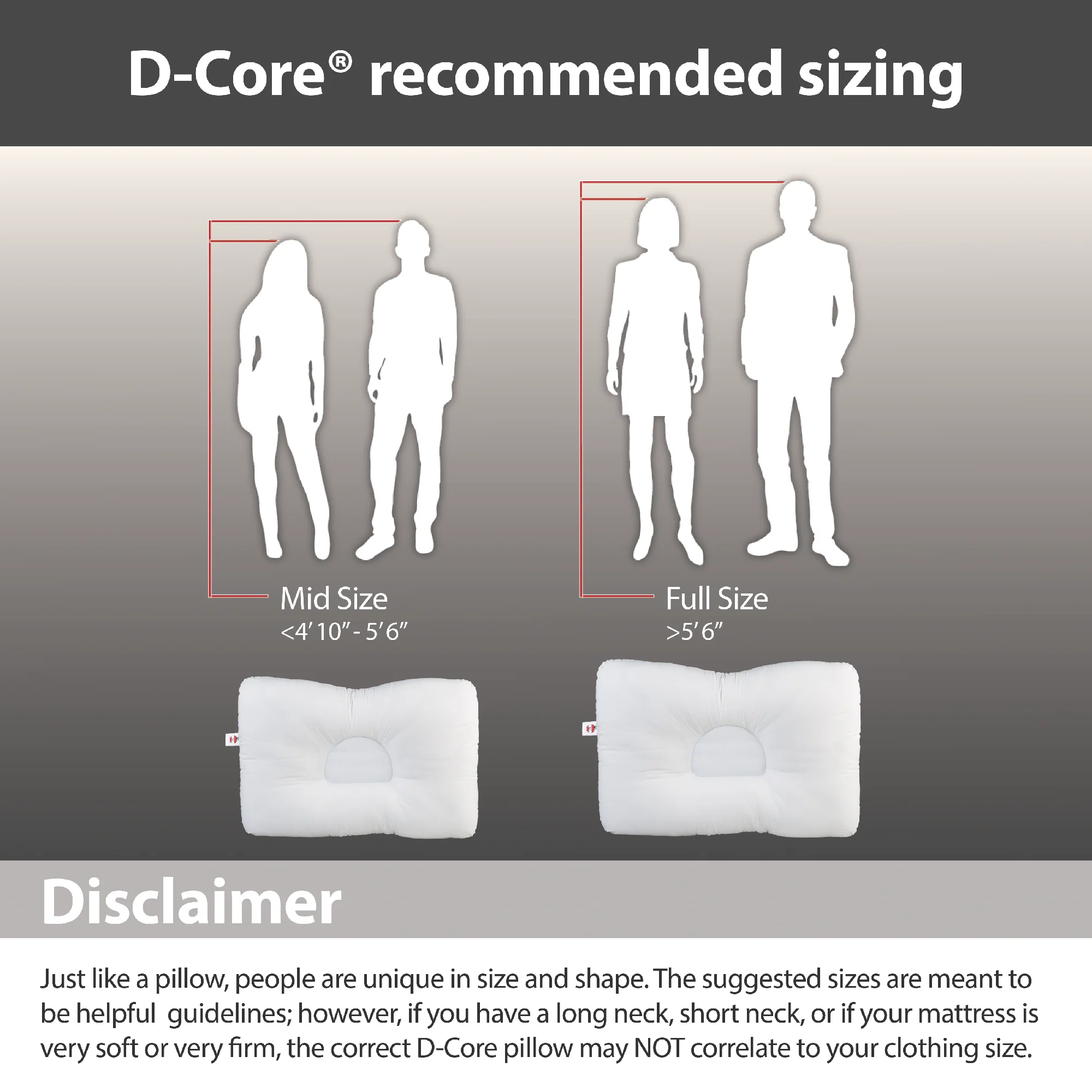 D-Core Cervical Support Pillow - Midsize D-Core Cervical Support Pillow - Midsize