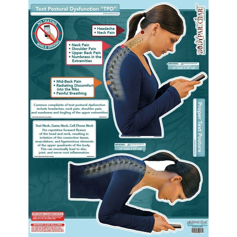Text Posture Dysfunction - Removable Wall Graphic Text Posture Dysfunction - Removable Wall Graphic