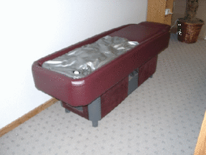 Pro S10 Hydromassage Table