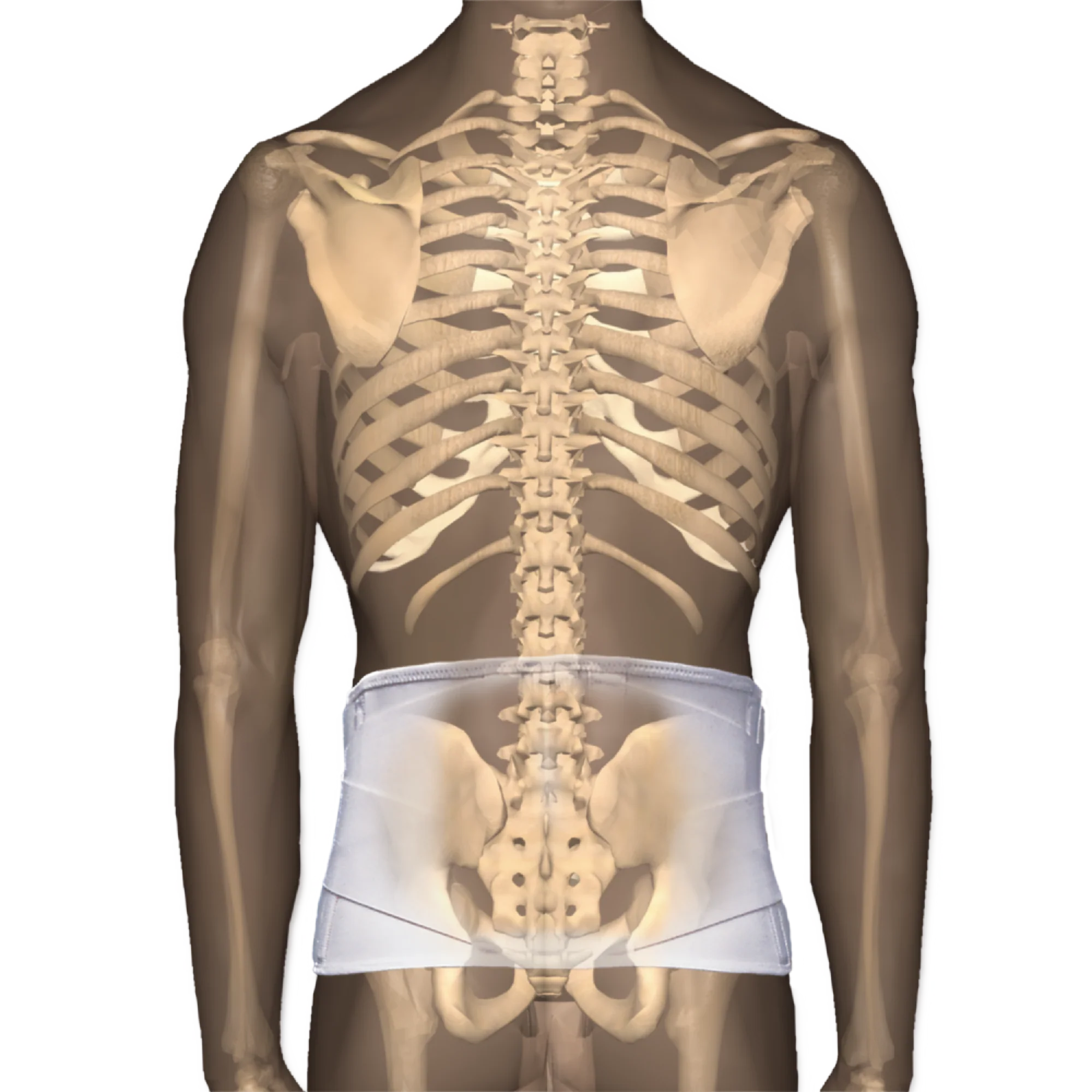 CorFit System LS Back Support CorFit System LS Back Support