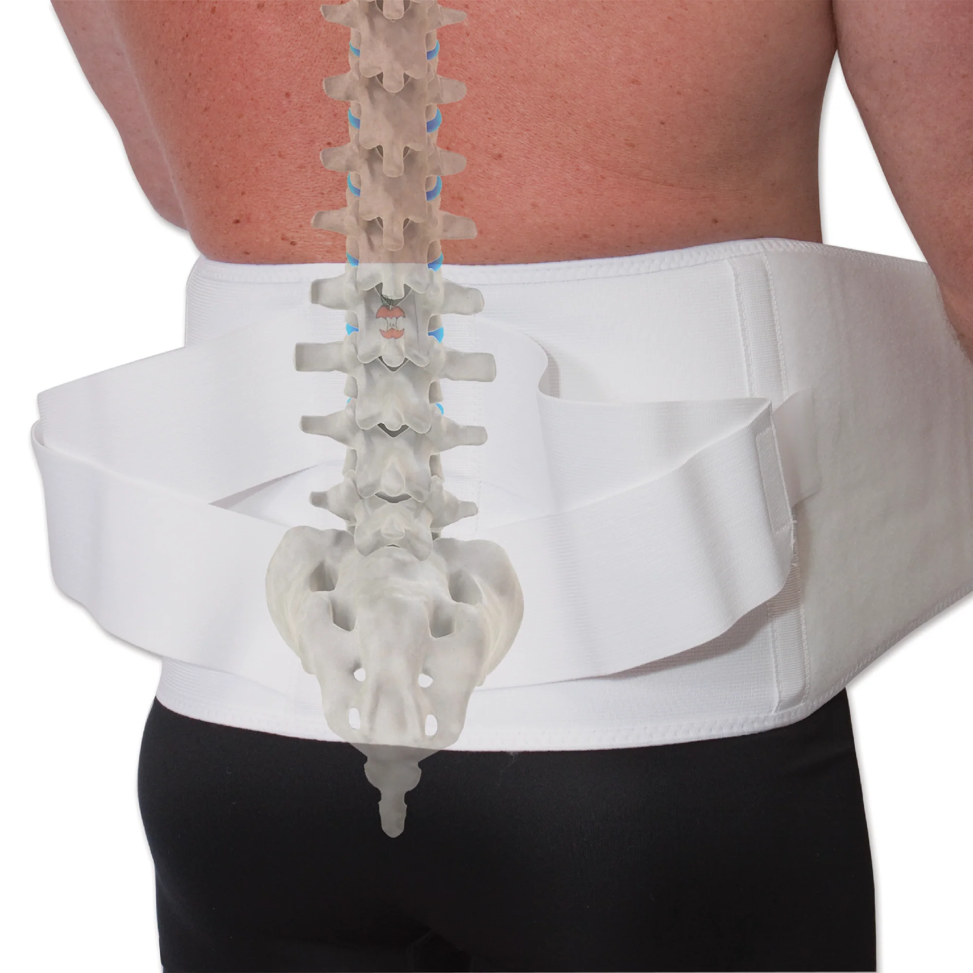 CorFit System LS Back Support CorFit System LS Back Support