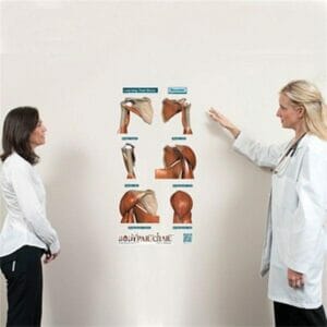 Shoulder Series - Removable Wall Graphic