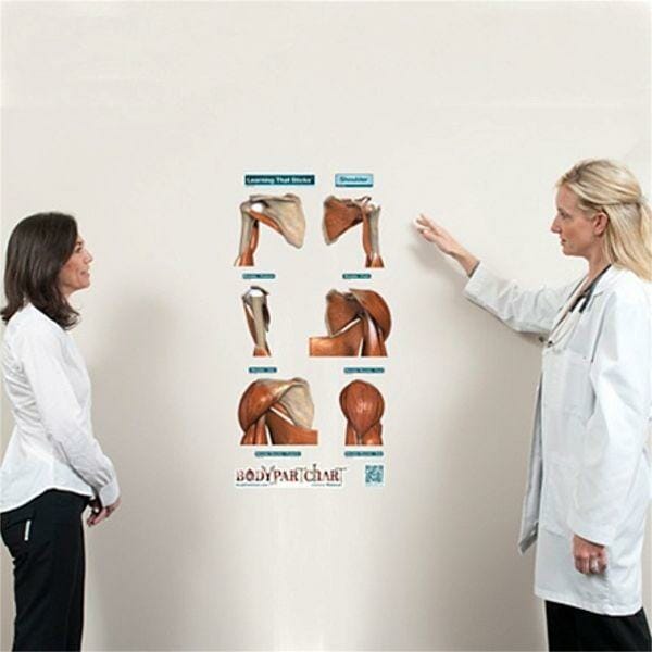 Shoulder Series - Removable Wall Graphic Shoulder Series - Removable Wall Graphic