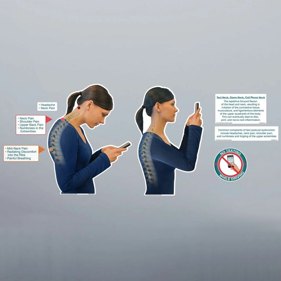 Text Posture Dysfunction - Removable Wall Graphic Text Posture Dysfunction - Removable Wall Graphic