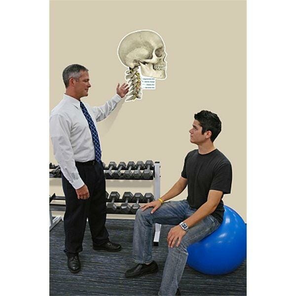 Lateral Cervical Spine Conditions - Labeled Removable Wall Graphic Lateral Cervical Spine Conditions - Labeled Removable Wall Graphic