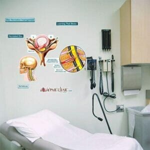 Disc Herniation Impingement - Labeled Removable Wall Graphic
