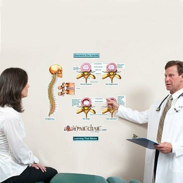 Intervertebral Disc Injuries - Removable Wall Graphic Intervertebral Disc Injuries - Removable Wall Graphic