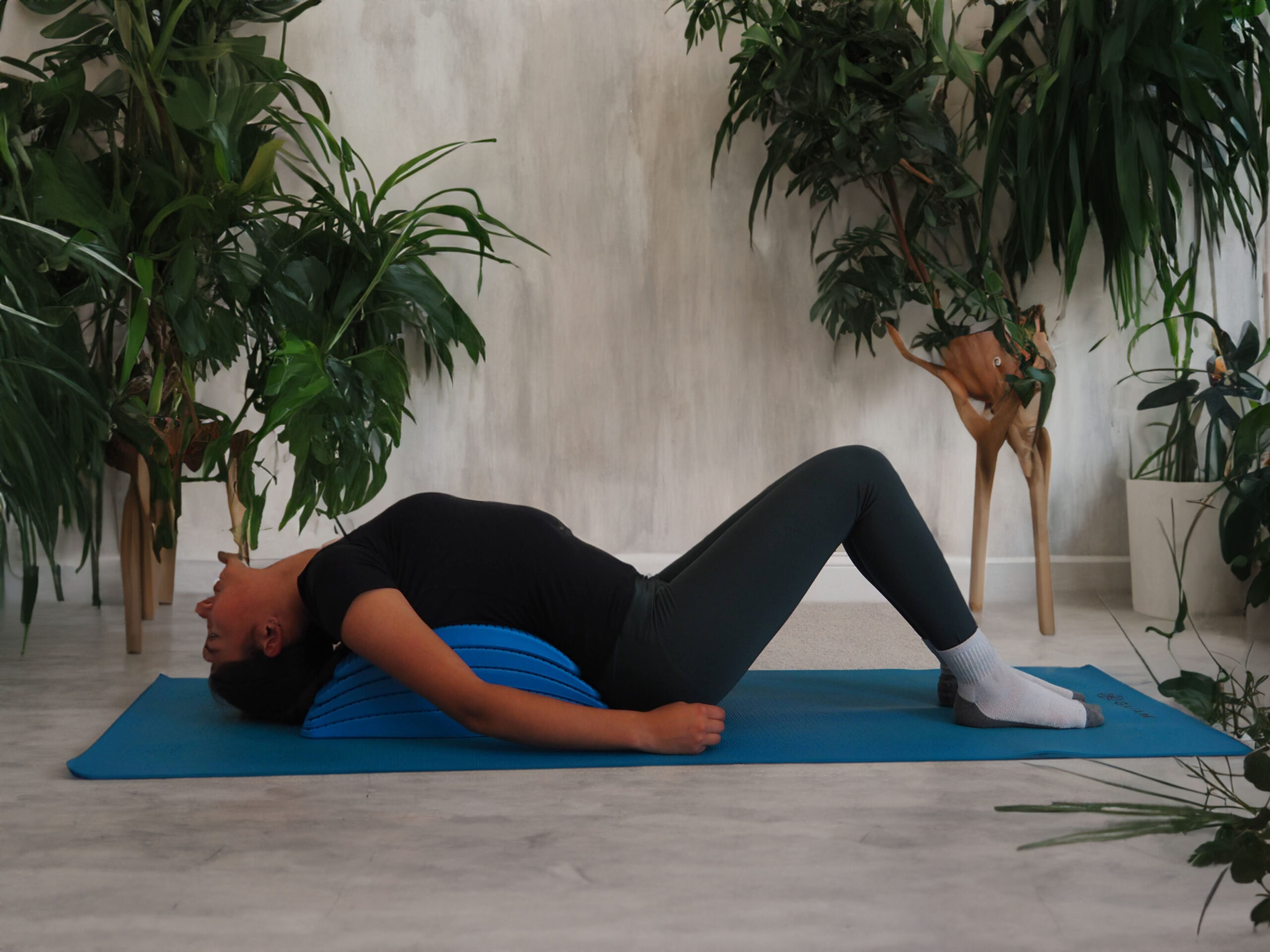 BackBridge : Back Stretcher + Spine Stretcher BackBridge : Back Stretcher + Spine Stretcher